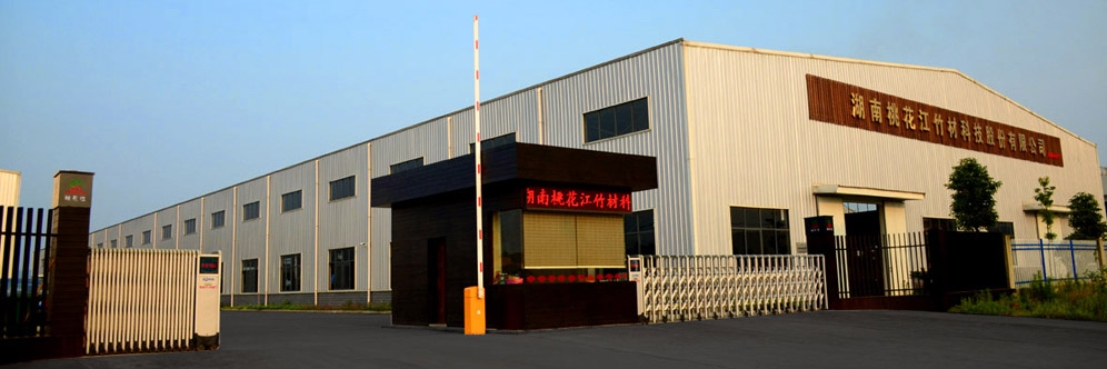 招標(biāo)采購(gòu)行業(yè)典范